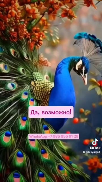 Фонтан Молодости