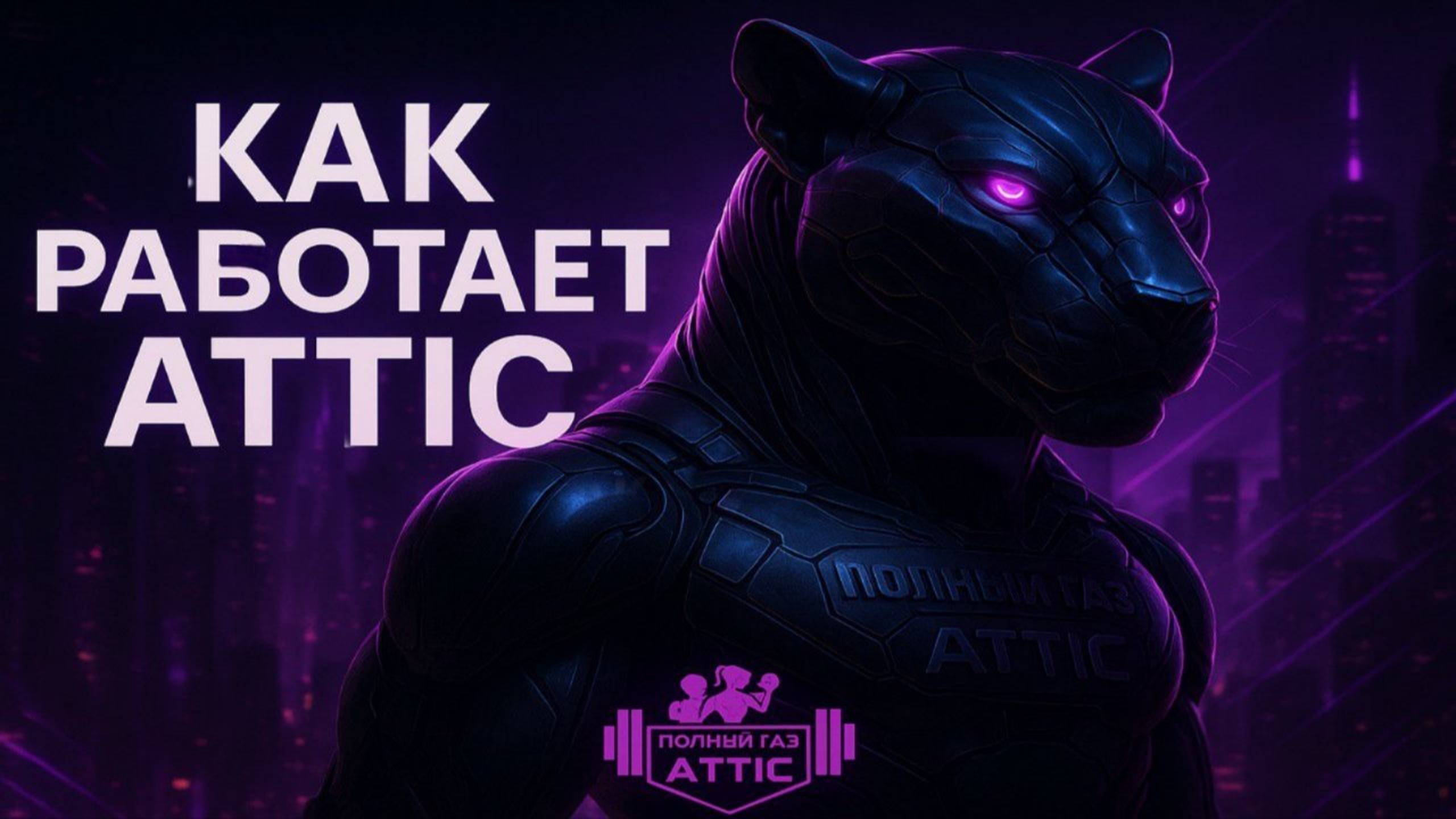 Как работает ATTIC изнутри | Торговые роботы, крипта и команда, которая меняет жизни
