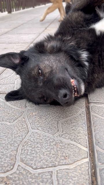 Буся❤️