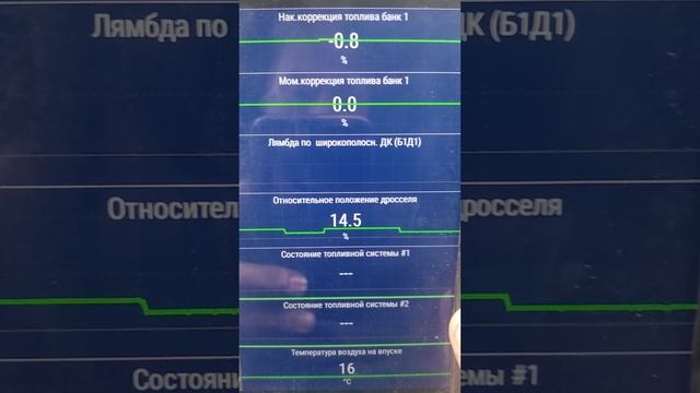 Проверка дроссельной  заслонки по компьютеру.
