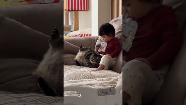 интересно какое успокоительное они пьют 🤔