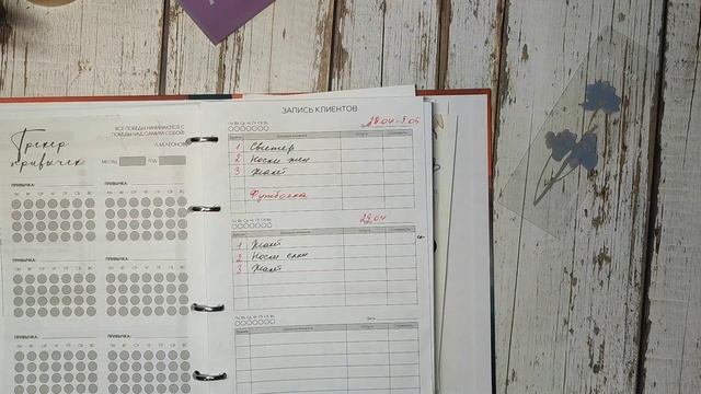 Рукодельничаю играя и коплю. 29.04.25.