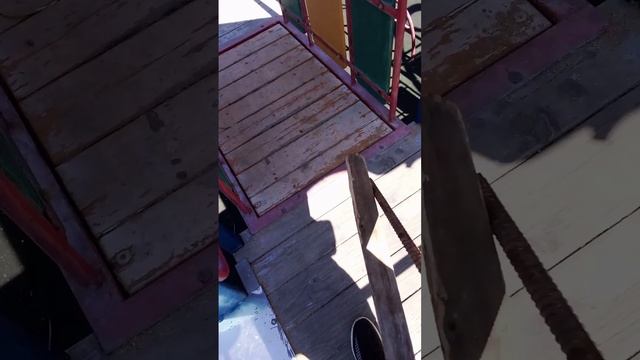 вот самый сумасшедший мелкий во дворе