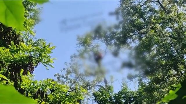 Житель Одессы накидался наркотой, чтобы быть на одной волне и понимать президента Украины !!!