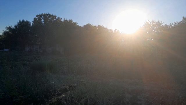 Утро в деревне