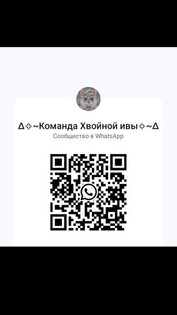 это команда Хвойной ивы