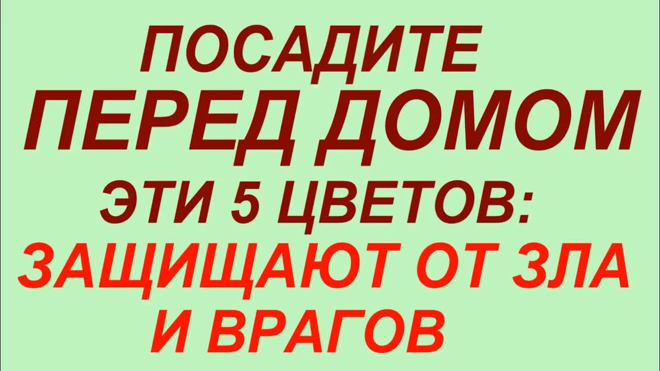 Посадите перед домом эти 5 цветов: защищают от зла и врагов