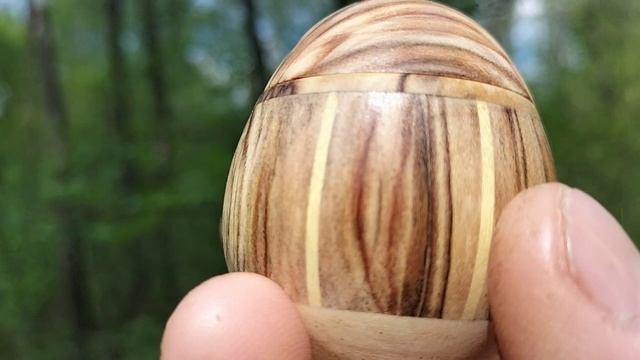 Шкатулка в весеннем лесу в дупле березы