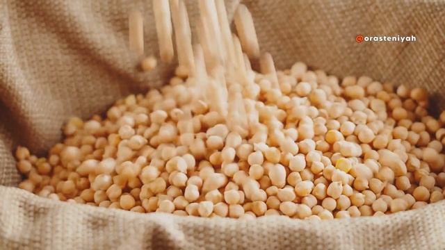 Как Прорастить Фасоль в Домашних Условиях 🌱