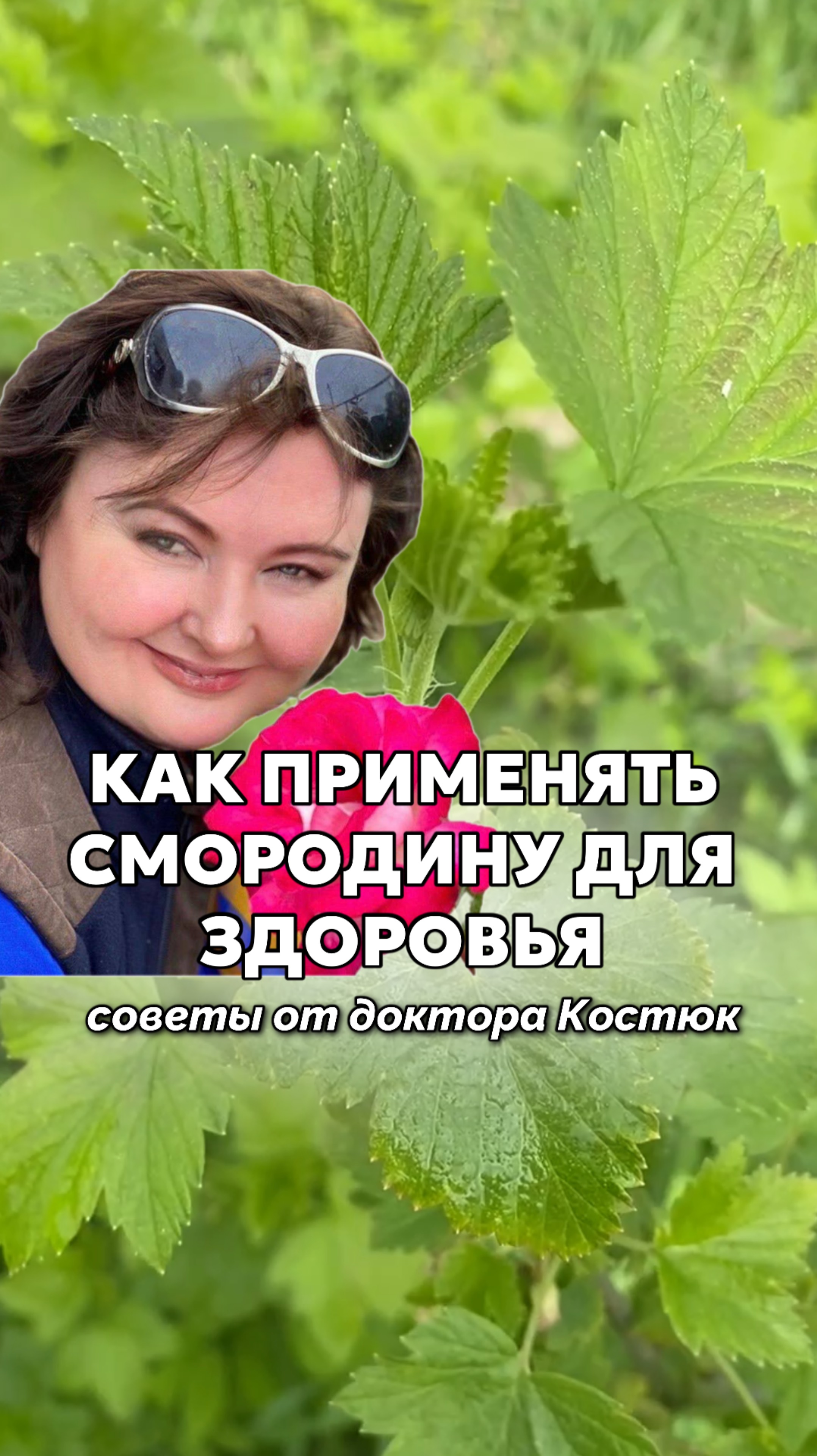 Как применять смородиновые листья и веточки с пользой для здоровья