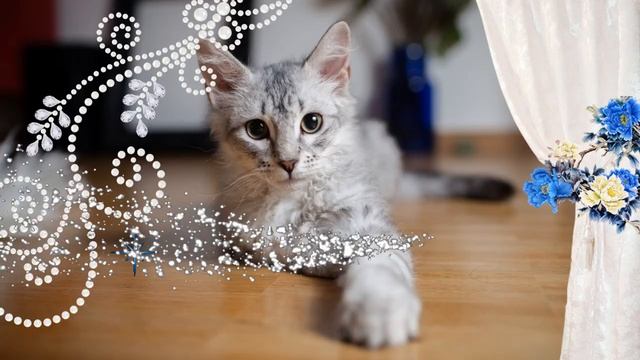 ПЯТНИЦА 🌞 ДОБРОГО УТРА   ДОБРОЕ УТРО   С ДОБРЫМ УТРОМ   ДОБРОГО УТРА ЛЮБИМОЙ   ДОБРОЕ УТРО КАРТИНКИ