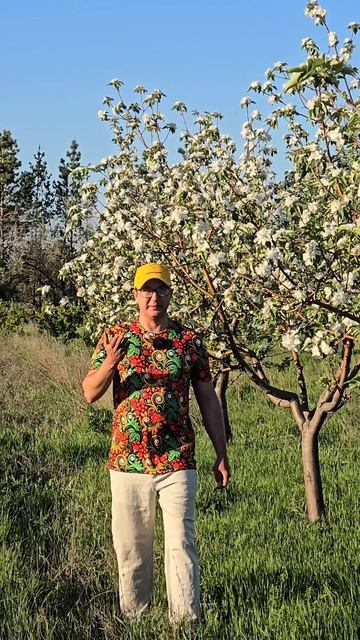 🍏 Мечтаете о саде, где можно сорвать спелое яблоко прямо с ветки?