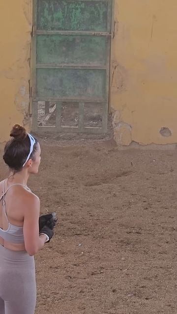 #spanishhorse #equitacion #sport #caballos #equestrian #international #animals #horselover #girl
