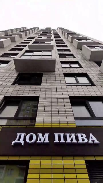 Без названия