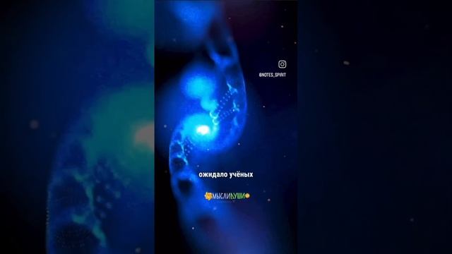 Про эксперимент Владимира Попонина и Петра Гараяева