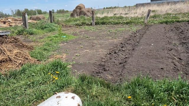 Распаковка/ решила колбасу закоптить/все на прогулке