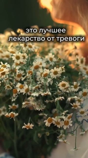 Любовь #adventists_perm #бог #любовь #вера #библия #покой #мир