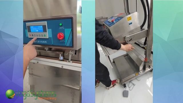 Вакууматор Vega VPM-H600/1S для вакуумной упаковки с наполнением газа