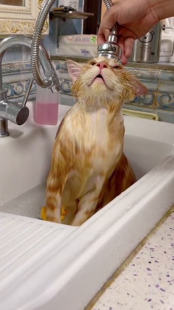 Время принять душ и😴