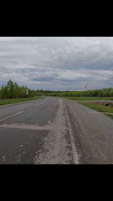 Изо дня в день.