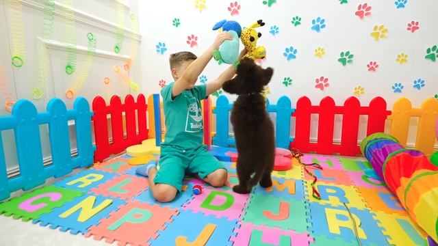Диана и Рома - У Дианы и Ромы появился новый питомец