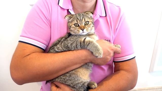 Диана и Рома - Диана и Рома празднуют День рождения   Сборник видео для детей