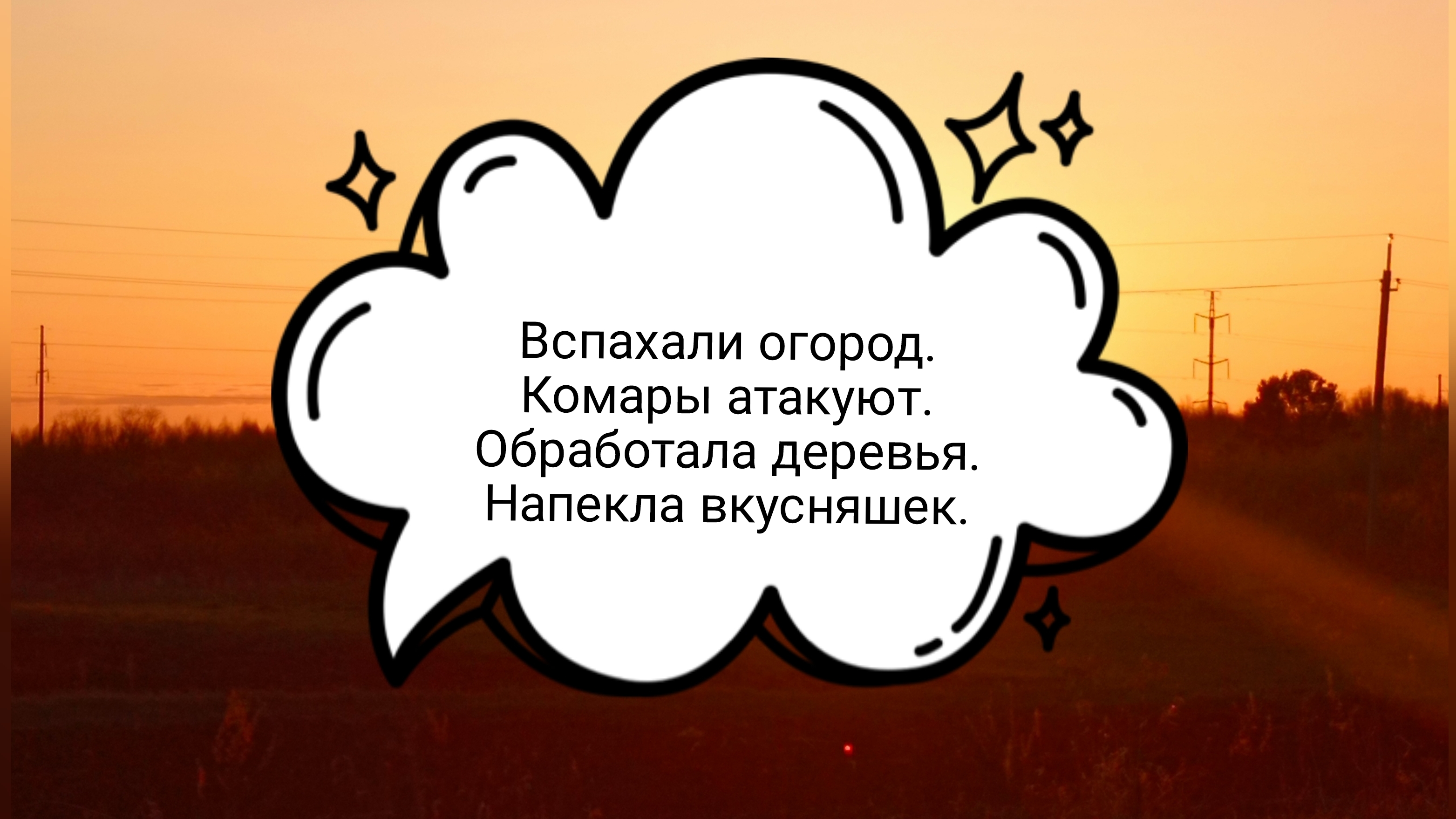 22-05-2025 Вспахали огород.Комары атакуют.Напекла вкусняшек.Обработала деревья.