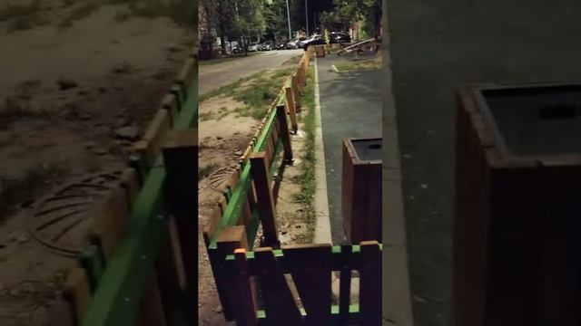 Мы идём гулять с собакой! | 22,май-2025, 2