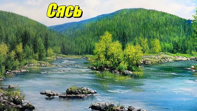 Сясь