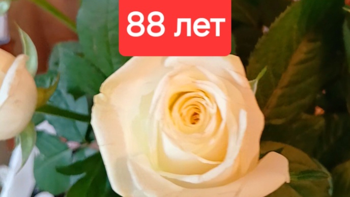 Здоровье родителей. Жизнь без деменции в полном здравии в 88 лет .Пиши хочу, мы поможем