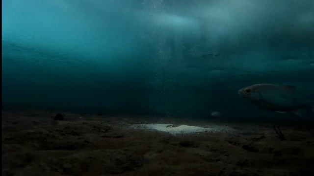 Братское водохранилище, работа прикормки под водой вечером