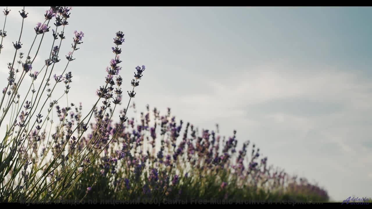 Ты почувствуешь, как что-то щелкает внутри после просмотра! - Your Eyes -- Crowander -- Uplifting Fu