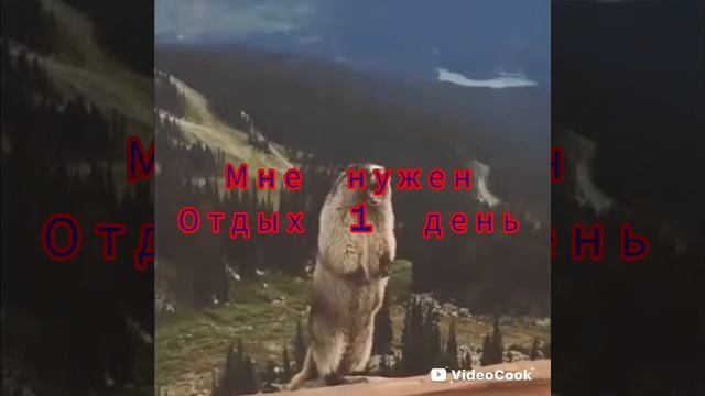 мне нужен отдых 1 день потому что я делаю видео часто