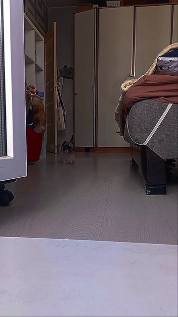 красота🥰