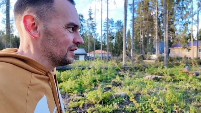 Обживаю свой участок
