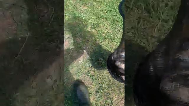 1000013244.mp4