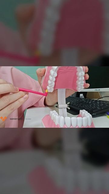 Как правильно чистить зубы