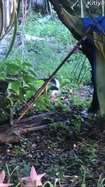 Посмеемся (665)