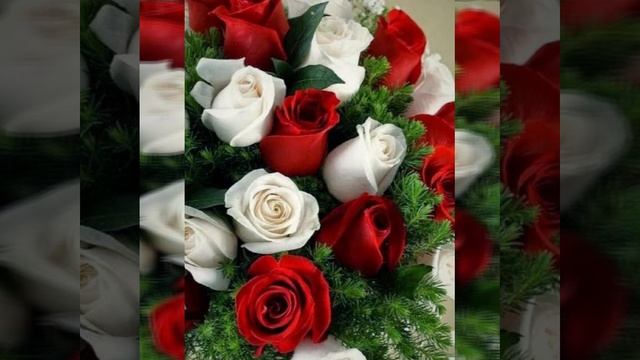 клип красивый на музыку из кинофильма " Весна на заречной улице "