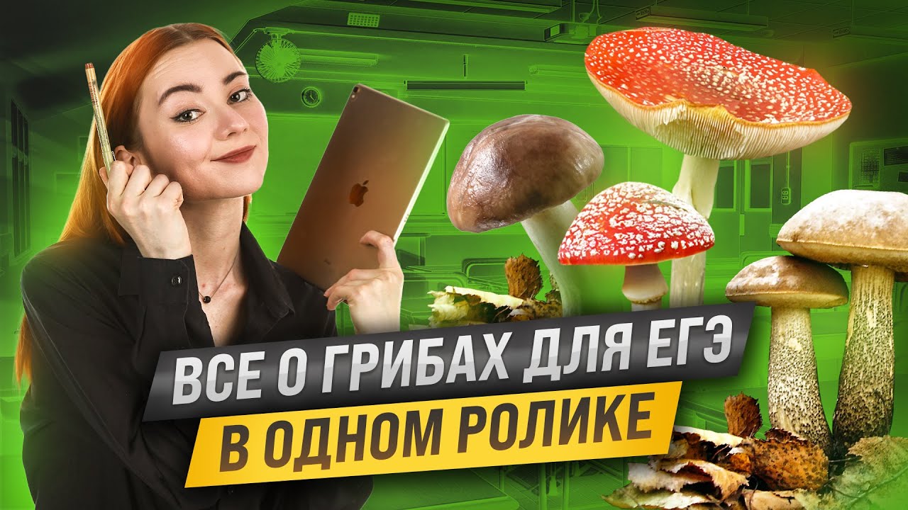 Грибы: вся тема для ЕГЭ по биологии (задания 9, 10 и 11) | Умскул