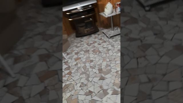 басики играют