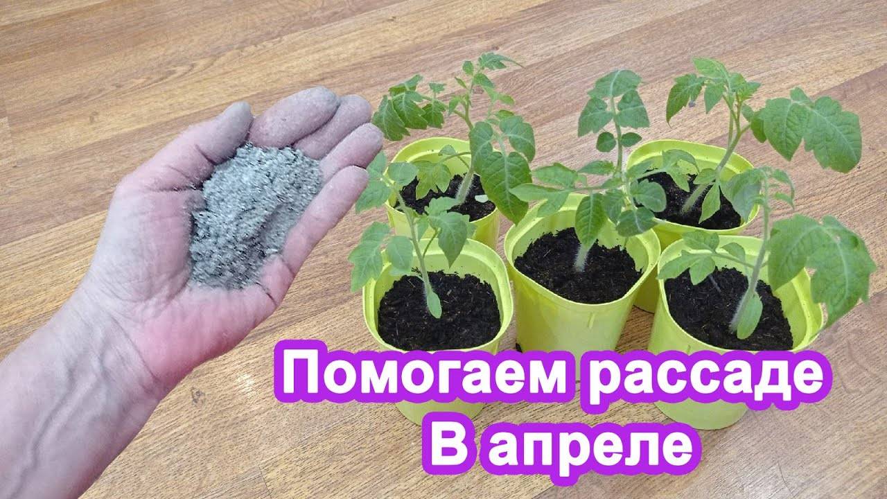 По 1 ч.л под рассаду после пикировки в Апреле. Рассада перцев и томатов отблагодарит ростом.