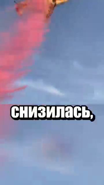 i11ushenka (137)