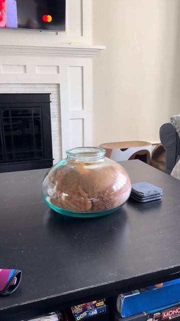 коты это H2O