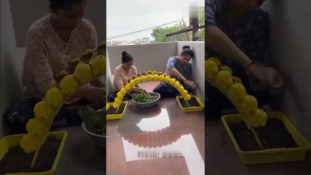 Уникальные советы для дачного участка