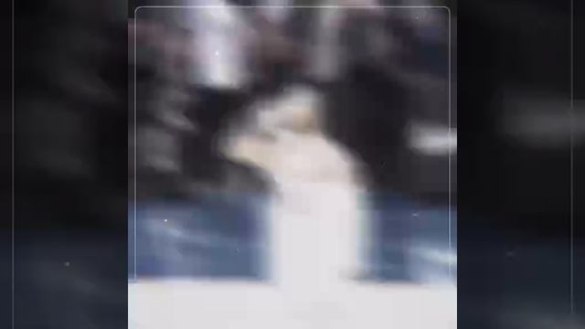 1000000449.mp4