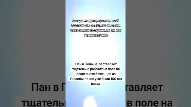Поляки и украинцы братья, но «работайте негры, солнце ещё высоко»😁