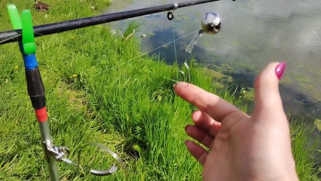 Жизнь за кадром 2. Рыбалка 🐟