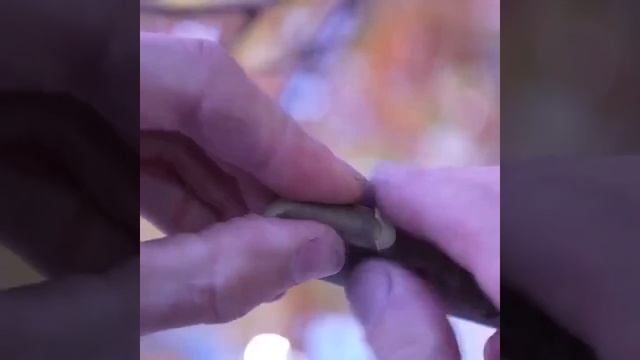 Полезные советы для владельцев дач