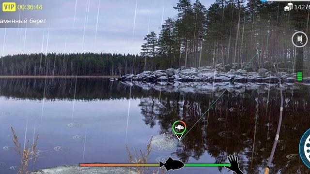 My Fishing World Фарм на налиме.